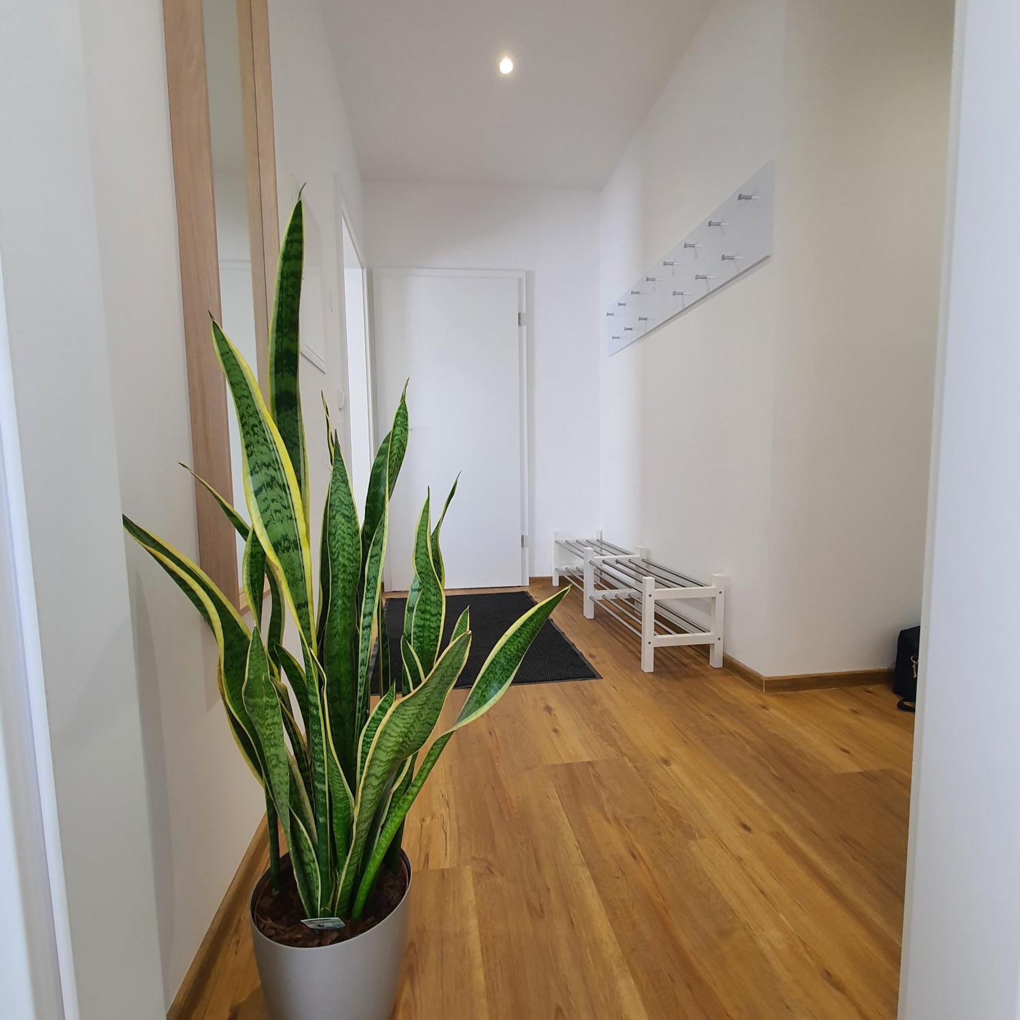 Laineckerstrasse 8 In 95445 Bayreuth Apartment Luaran gambar